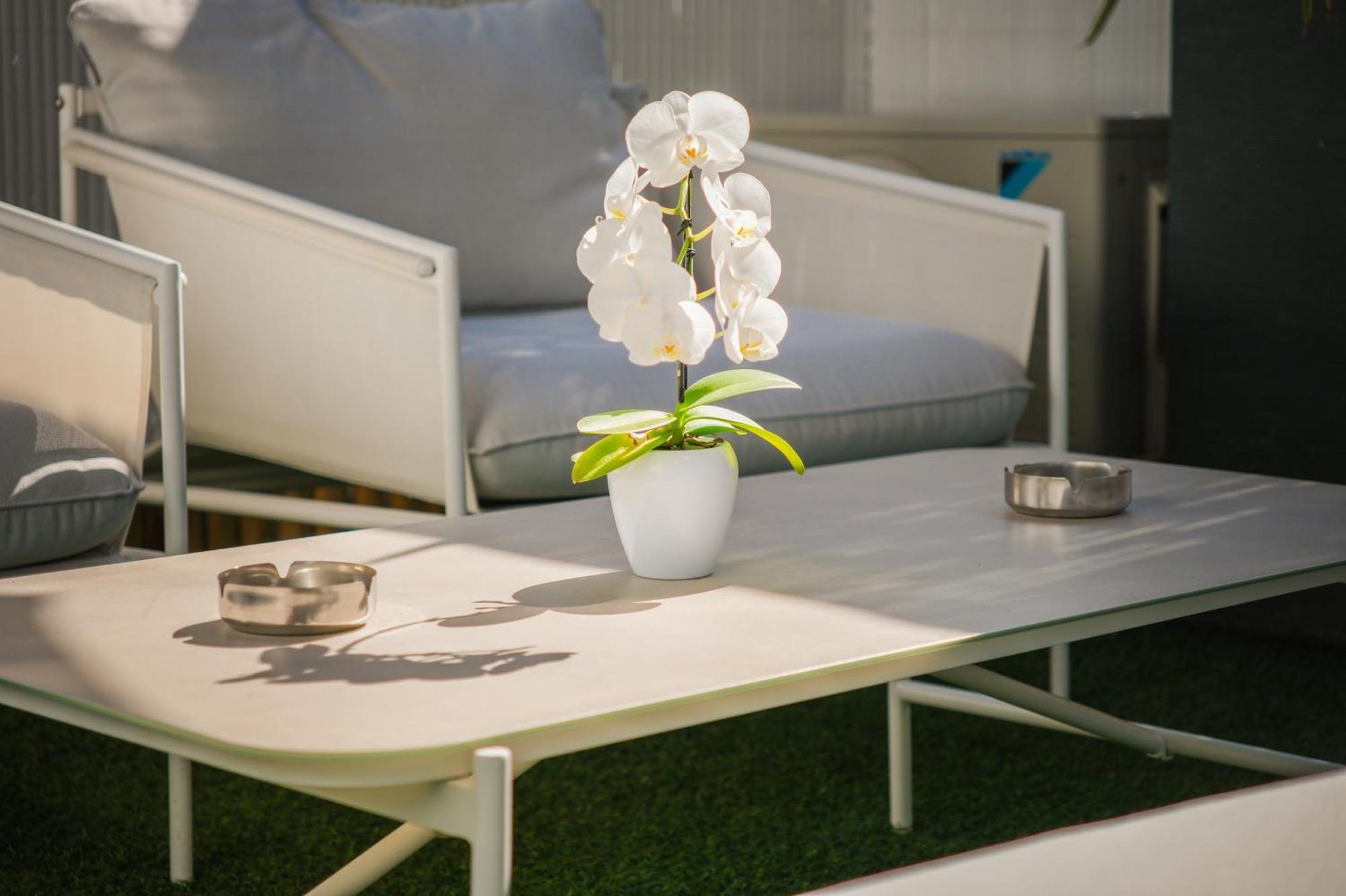 Villa Bono Jacuzzi & Spa Saint-Laurent-du-Var Dış mekan fotoğraf